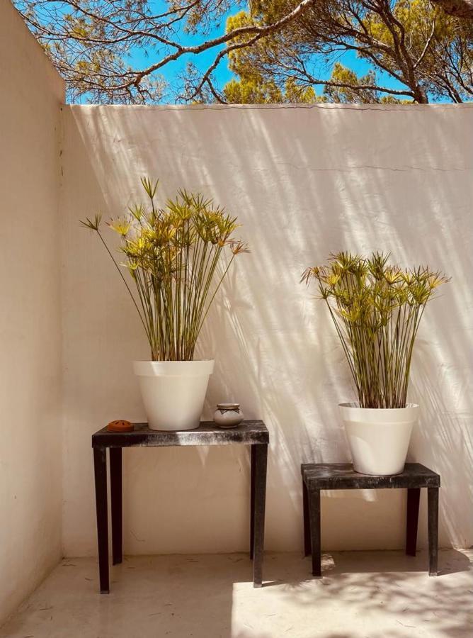 Casa Matelito Villa ปลายามิจอร์น ภายนอก รูปภาพ